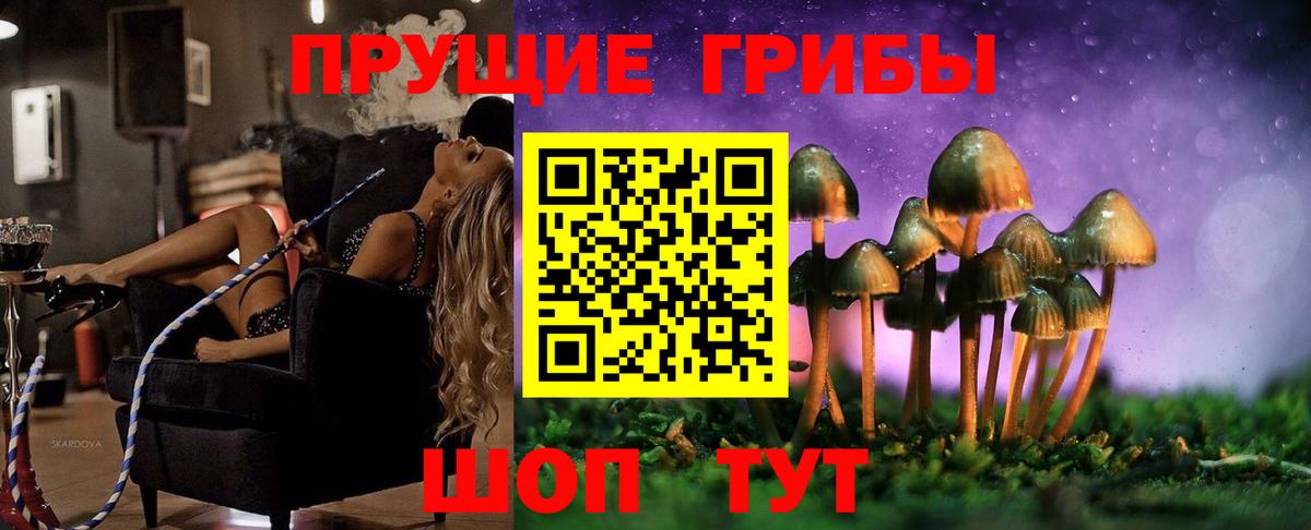 Псилоцибиновые грибы прущие грибы  Псилоцибиновые грибы ЛСД  Вход с VPN  Шумерля 