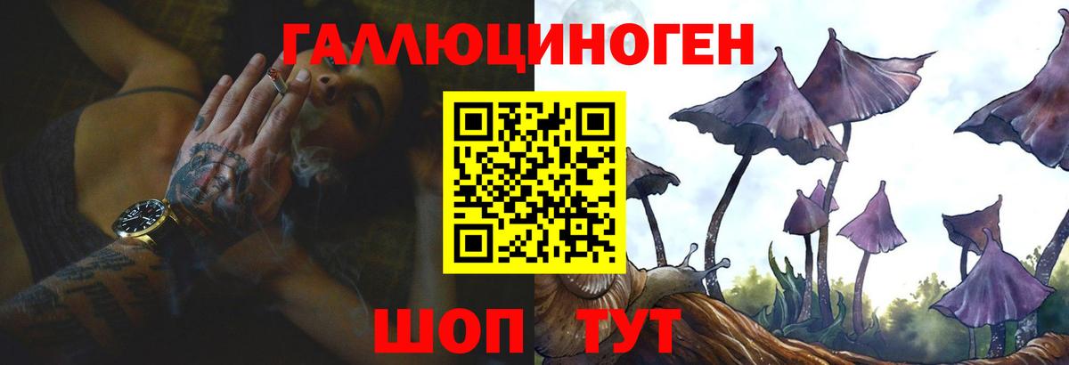 Псилоцибиновые грибы прущие грибы Шумерля